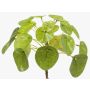 Pianta delle monete artificiale SYBIL su stelo, verde, 13cm