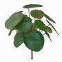 Pianta delle monete artificiale SYBIL su stelo, verde, 20cm