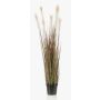 Erba stipa artificiale WELLORI con pannocchie, verde, 120cm
