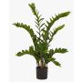 Pianta artificiale zamioculcas SIMANO, 110cm