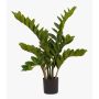 Pianta artificiale zamioculcas SIMANO, 70cm