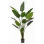Pianta artificiale strelitzia PAVLOVA, verde, 190cm
