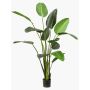 Pianta artificiale strelitzia PAVLOVA, verde, 230cm