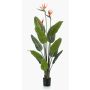 Strelitzia artificiale TAPIES, arancione-viola, 120cm