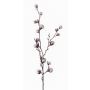 Ramo di cotone artificiale EYCK con fiori, verde, 95cm
