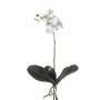 Orchidea phalaenopsis artificiale FAO su stelo, bianco, 45cm