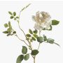 Ramo di rose tessile BEATA, crema, 75cm