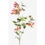 Corona di glorosia superba artificiale CELESTE, fucsia-giallo, 120cm