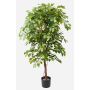 Ficus benjamina artificiale BARTOLO, tronco vero, verde, 140cm