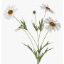 Margherita artificiale NAROA, bianco, 80cm