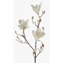 Magnolia artificiale MALVAO, crema, 90cm