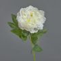 Peonia artificiale DIVIN, crema, 65cm