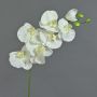Ramo di orchidee phalaenopsis di plastica BASTET, bianco, 80cm
