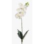 Orchidea phalaenopsis artificiale ISIS, su stelo, bianco, 60cm