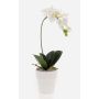 Orchidea phalaenopsis artificiale ISIS, vaso in ceramica, bianco, 40cm