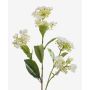 Ortensia artificiale ALAZNE, crema, 75cm