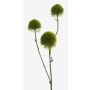 Cardo artificiale BRANCO, verde, 60cm