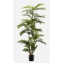 Palma areca artificiale FEDERICO, 180cm