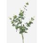 Ramo artificiale d'eucalipto DEREK, verde-grigio, 75cm
