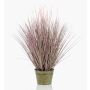 Pennisetum finto OVIDIO, pannocchie, vaso di zinco, verde, 100cm