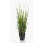 Erba di coda di volpe artificiale OTIS con pannocchie, verde, 55cm