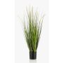 Erba di coda di volpe artificiale OTIS con pannocchie, verde, 90cm