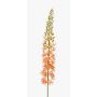 Fiore artificiale di candela del deserto AOMORI, rosa crema, 105cm