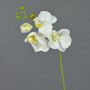 Ramo di orchidee phalaenopsis artificiale MINA, bianco, 55cm