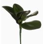 Foglie d'orchidea phalaenopsis artificiali NIUT, su stelo, verde, 25cm