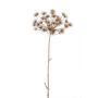 Heracleum di plastica EVANDRO, grigio, 125cm