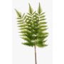 Ramo di felce spada in plastica HALIMA, verde, 60cm