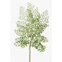 Ramo di felce di capelvenere in plastica HALIMA, verde, 60cm