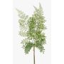 Ramo di felce polystichum in plastica HALIMA, verde, 60cm