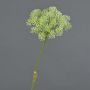 Heracleum artificiale EVERALDO, bianco, 80cm