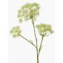 Heracleum artificiale EVERALDO, bianco, 105cm