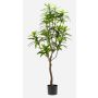 Albero artificiale di dracaena OSAKA, verde, 130cm