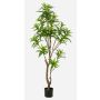Albero artificiale di dracaena OSAKA, verde, 155cm