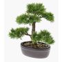 Cedro bonsai artificiale BERTOLT in ciotola, 30cm