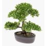 Ficus bonsai artificiale HESPER in ciotola, 30cm
