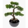 Cedro bonsai artificiale ADARA in vaso di ceramica, 35cm