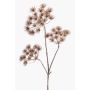Pianta artificiale di heracleum BELMIRO, marrone, 100cm