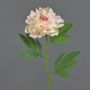 Peonia artificiale MARILOU, rosa, 75cm