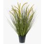 Erba di coda di volpe artificiale CAREL con pannocchie, verde, 70cm