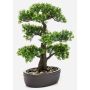 Ficus bonsai artificiale HESPER in ciotola, 45cm
