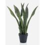 Pianta artificiale di sansevieria POLIANA, verde, 50cm