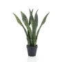 Pianta artificiale di sansevieria POLIANA, verde, 50cm