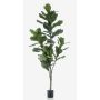 Ficus lyrata artificiale ENRIKO, tronco artificiale, verde, 150cm