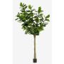 Ficus lyrata artificiale ENRIKO, tronco artificiale, verde, 300cm