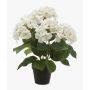 Ortensia artificiale JONE, crema, 40cm