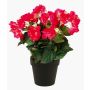 Begonia artificiale DOBRADA, fucsia, 30cm